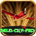 2019 world cup - Extreme v1.5.2