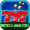 all cricket match Max v4.3.5