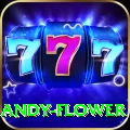 andy flower Games (Casino & Earning) Max v5.1.2