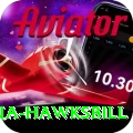 antigua hawksbill Apps (Tools & Injectors) Master v3.1.1