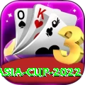 asia cup 2022 Premium Edition v3.4.0