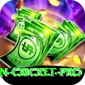 australian cricket Mega New