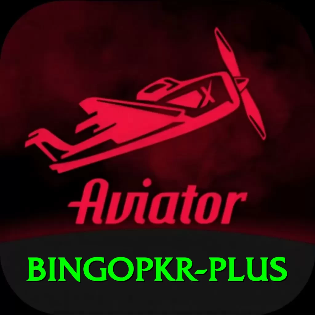 bingopkr Pro1 v4.9.6 - 2