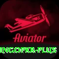 bingopkr Pro1 v4.9.6