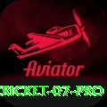 cricket 07 Slots Deluxe v5.0.4