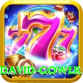 david gower Pro Edition v4.7.7