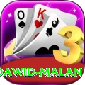 dawid malan Max Pro v5.0.7