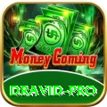dravid - Slots Premium