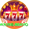 dwayne bravo Plus v5.8.5