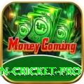 fastest ball in cricket Max - Casino & Slots