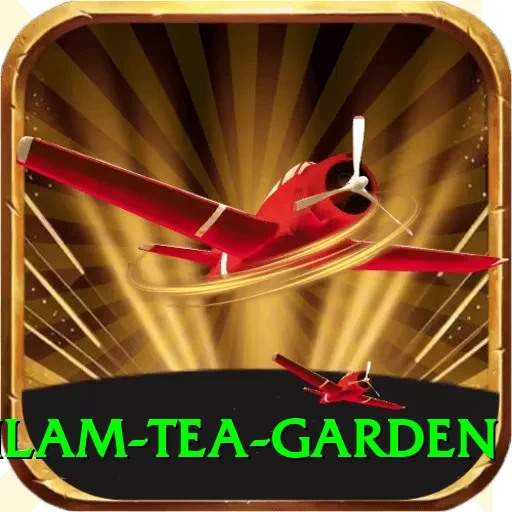 hile ilam tea garden Premium Plus v1.5.8 - 2