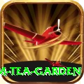 hile ilam tea garden Premium Plus v1.5.8