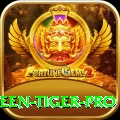 holloween tiger Casino Pro v5.8.6