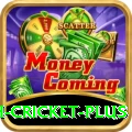 india bangladesh cricket - Premium Edition v2.3.3