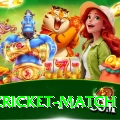 india cricket match Premium Edition v1.2.2