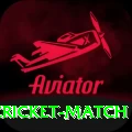 india newzealand cricket match Max v3.0.0