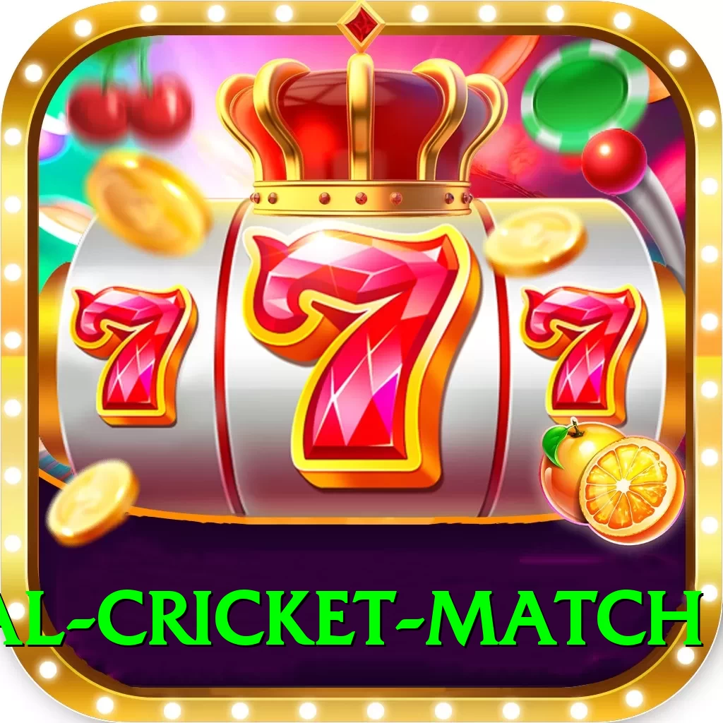 international cricket match VIP Edition v2.4.8 - 2
