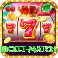 international cricket match VIP Edition v2.4.8