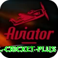 international cricket King v4.0.7