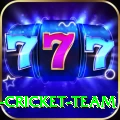 ireland cricket team Deluxe v3.4.0