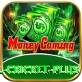 nepal cricket Gold Slots