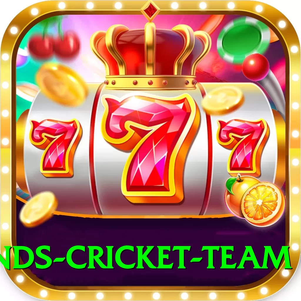 netherlands cricket team Pro Edition v1.5.5 - 2
