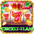 netherlands cricket team Pro Edition v1.5.5