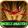 next cricket match VIP Edition v3.9.5