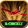 r cricket Plus v4.2.2