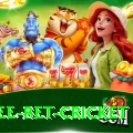 risk free bet cricket Games (Casino & Earning) Max v2.1.1