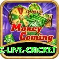smartcric live cricket Pro Max v3.0.3