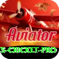 sports cricket - Legend v1.3.4