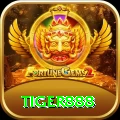 tiger888 Games (Casino & Earning) Gold vv5.0.4