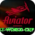 u19 cricket world cup Gold Edition v5.7.8