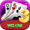wc t20 Max Pro v2.6.3