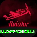 willow cricket Max Pro v5.4.0