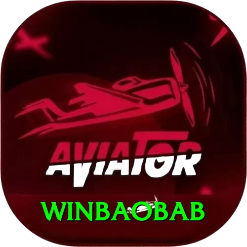 winbaobab Pro Edition v2.9.6 - 2
