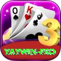yaywin Master v2.7.2